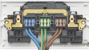 efff1520ce9f7dcaa36a39e223d34d08-original-newsocket.jpg