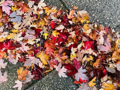 October Highlights on EngX: AI, Automation & Inspiring Journeys