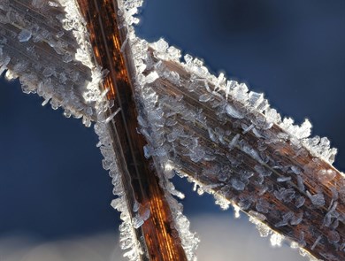 December Highlights on EngX: Celebrations, reflections and a look to the future