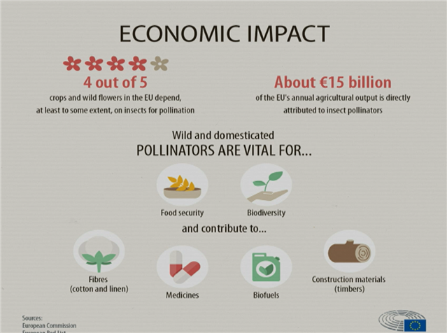 Economic Impact of Bees