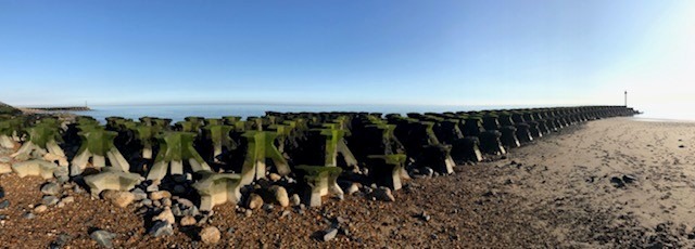  a seaside view