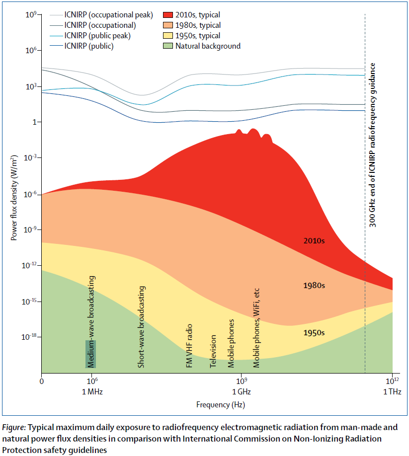Electrosmog in 2010 according to Bandara and Carpenter