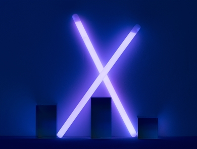 Celebrating a Year of Growth and Engagement in the EngX Community